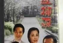 走过柳源电视剧,一段青春的奋斗与成长