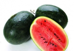 瓶子吃瓜爆料怎么做