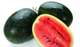 瓶子吃瓜爆料怎么做