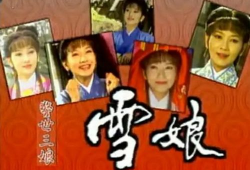 赵雅芝雪娘电视剧全集,赵雅芝演绎的古典仙侠爱情史诗
